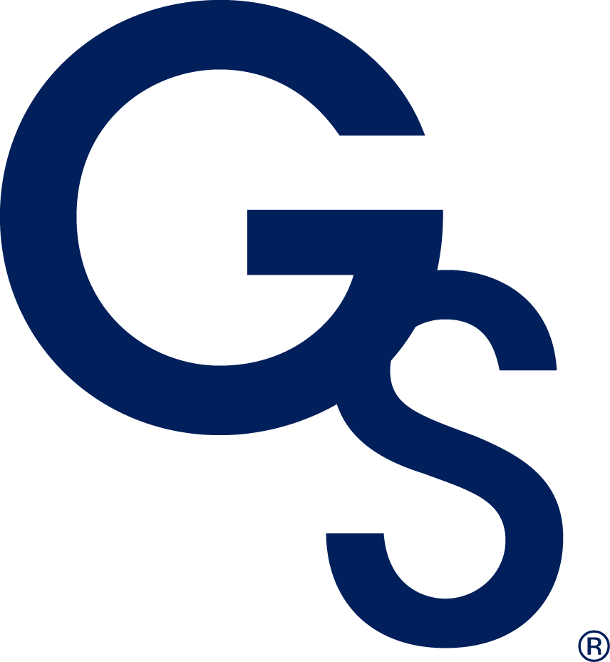 Georgia Southern Eagles 2004-Pres Wordmark Logo t shirts iron on transfers v5